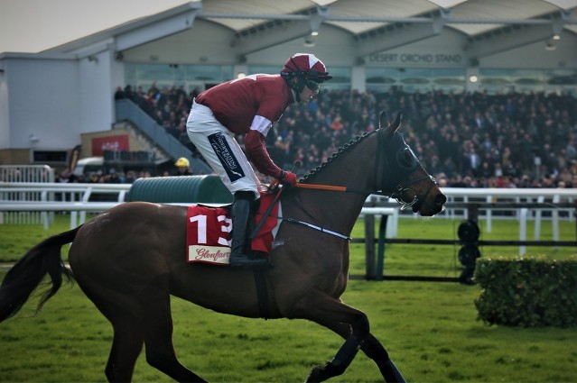 Kingswell Theatrova jízda, Tiger Roll zadržen
