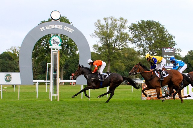 Slovenské derby rozhodl start, Troop Commander porazil Vivienne Wells (analýza)
