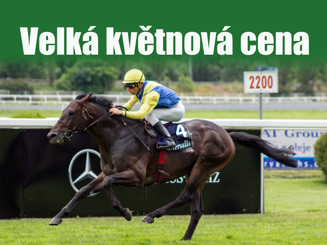 Velká květnová cena