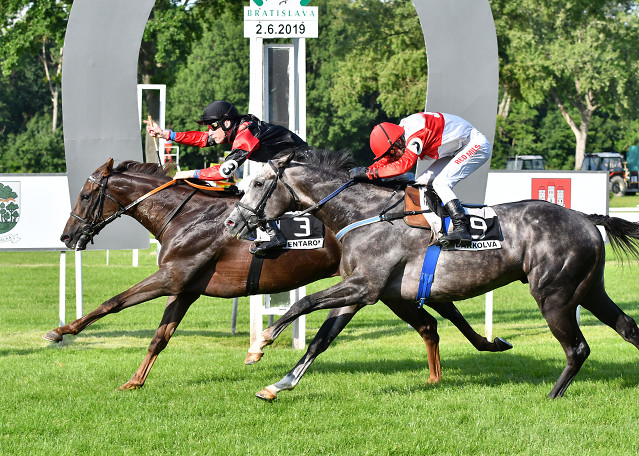 Luka Racing Turf Gala