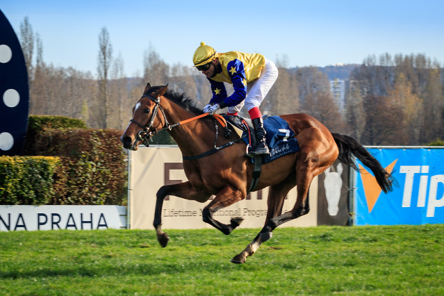 St Leger – trendy posledních 10 ročníků