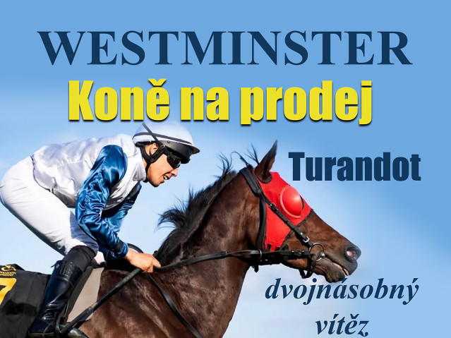 Westminster nabízí: Turandot dvakrát vyhrál a potomek Syrenky