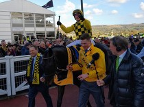 Cheltenham Gold Cup: Bude odměnou za důvěru vítězství?