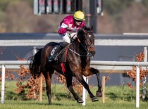 Champion Hurdle: Apple’s Jade vyzívá Buveur D’Air