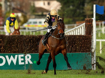 Cheltenham Gold Cup s nabitou sestavou