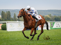 St Leger – trendy posledních 10 ročníků