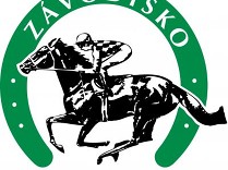 Slovenská termínovka 2017