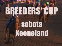 Hlavní program Breedres‘ Cupu je v sobotu