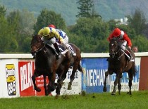 Chardonney Tcheque je top favoritem Velké květnové