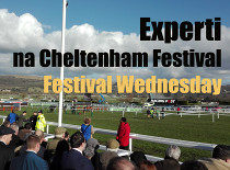 Experti Tipařova palce radí, koho hrát druhý den Cheltenham Festivalu