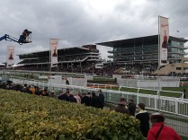 Experti na Cheltenham 2022