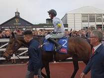 Constitution Hill si upevnil pozici favorita Champion Hurdle