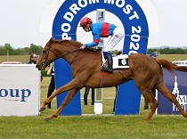 Cote Jardin se představí v Listed, do Deauville míří i další jedničkoví koně