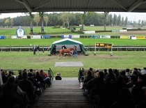 Středoevropská dražba zahájila pardubický víkend