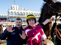 Cheltenham očima expertů