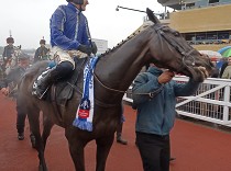 Sezónu zahájí favorité Gold Cupu a Champion Chase