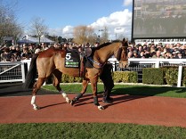 Stayers‘ Hurdle: Udrží Paisley Park sezónní neporazitelnost?