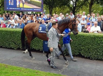 Irish Champion Stakes další výzvou pro Ghaiyyatha