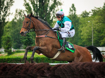 Hegnus nepůjde Velkou pardubickou 