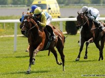 Rozbory derby kandidátů 2014