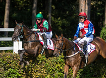 Co řekly Pardubice před Velkou