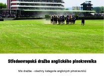 Katalog Středoevropské dražby