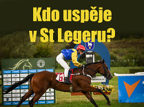Kdo uspěje v St Legeru? (rozbor)