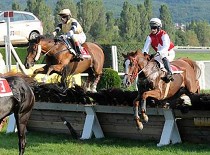 Stávky Rabbit Wella nejlépe využil outsider Lorain