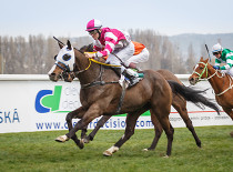 Master Of Gold chce hattrick v „Gombě“
