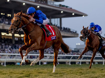 Drama na Breeders‘ Cupu: Dettori bez rita, vítěz bez sázek
