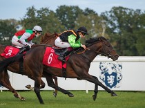 Nagano Gold potřetí Koněm roku