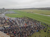 Ohlédnutí za návštěvami Cheltenhamu, Newbury a Dundalku