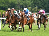 Turf Gala – rozbory dostihů