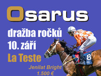 Dražba Osarus, jíž dělá reklamu Jenilat Bright