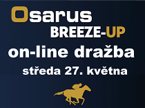 Sledujte první evropskou online dražbu