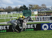 Tingle Creek soubojem vítězů Champion Chase
