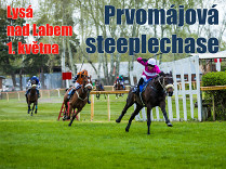 Prvomájová steeplechase – rozbor dostihu