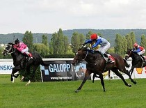 Triumf v derby vybojoval favorizovaný Roches Cross