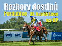 Rozbory dostihů: Pardubice - 1. 8. - III. kvalifikace na VP