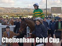 Cheltenham Gold Cup, nová jména proti obhájci