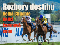 Rozbory dostihů: Velká Chuchle - 1. 6. - Velká červnová cena