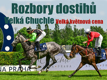 Rozbory dostihů: Velká Chuchle - 19. 5. - Velká květnová cena