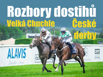 Rozbory dostihů: Velká Chuchle - 21. 6. - České Derby