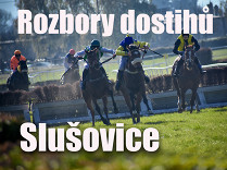 Rozbory dostihů: Slušovice - 11. 5.