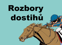 Rozbory dostihů: Pardubice - 14. 10.