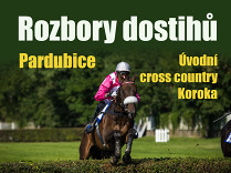 Rozbory dostihů: Pardubice - 8. 5. - Úvodní cross country Koroka