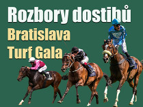 Rozbory dostihů: Bratislava – Turf Gala