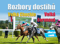Rozbory dostihů: Velká Chuchle - 31. 5. - Velká červnová cena