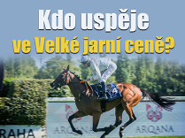 Kdo uspěje ve Velké jarní ceně? (rozbor)