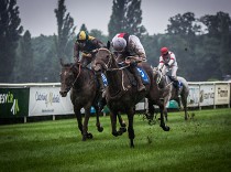 Ve Velké pardubické vyzvou předchozí vítěze premianti kvalifikací